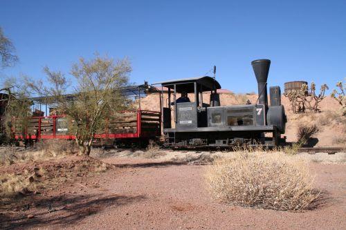 Desert Beauty
