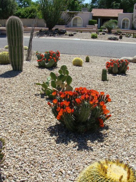 Arizona and Pacific RR