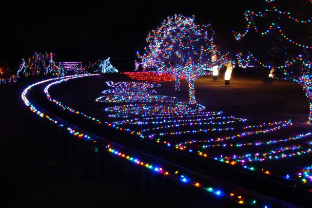 McCormick-Stillman Holiday Lights