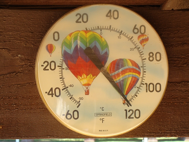 118 in the Shade