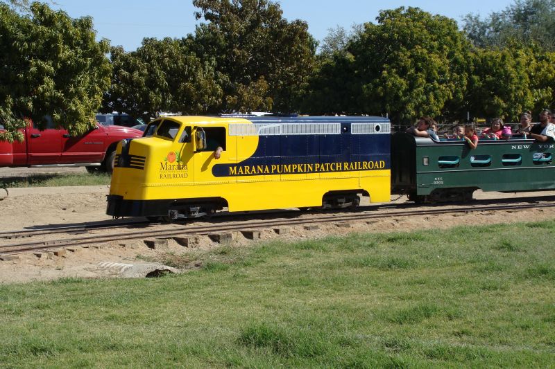 Marana Pumpkin Patch and Farm Railroad