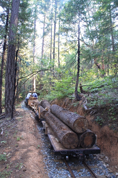 Trinity Alps Mountain RR