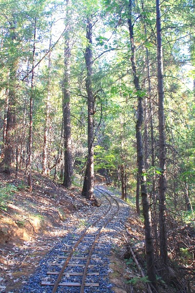 Trinity Alps Mountain RR