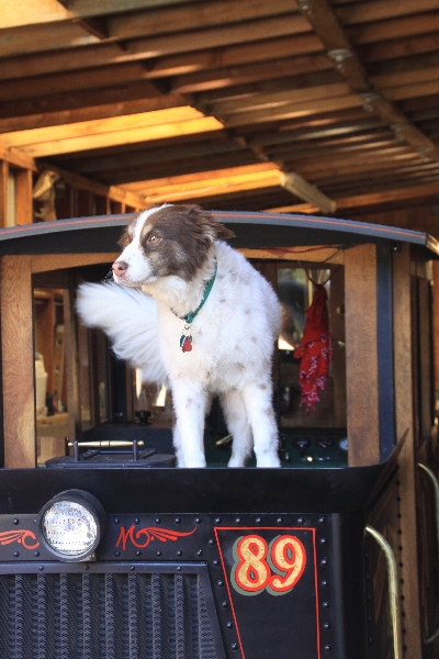 Trinity Alps Mountain RR