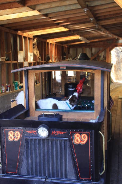 Trinity Alps Mountain RR