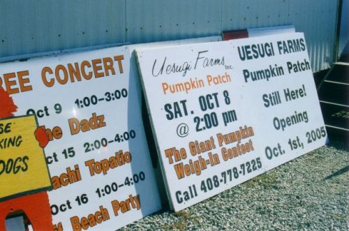 2005 Pumpkin Patch