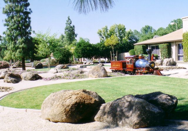 Phoenix in the New Landscaping